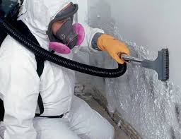 Best Mold Documentation for Insurance Claims in USA